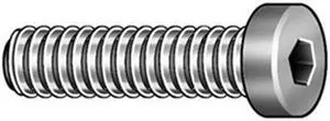ZORO SELECT SDSL0250075CP-PK100 1/4"-20 Low Socket Head Cap Screw, 3/4 in L,