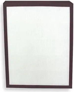 DAYTON 2HNP8 HEPA Filter, For G1208681