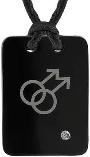 Pride and Style: Designer Inspired Surgical Steel Pendant with Two Male Insignias on a Black Cord