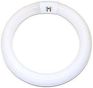 GE Fluorescent Circular Tube 22 Watt 33774