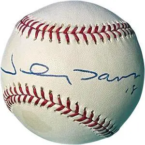Johnny Damon signed Official Rawlings Major League Baseball #18 tone spots- COA (Yankees/Red Sox)