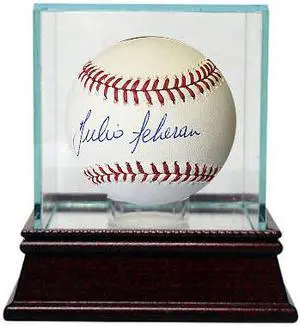 Julio Teheran signed Official Major League Baseball w/ Glass Case (Atlanta Braves)