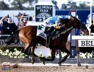 American Pharoah signed 11x14 Photo 2015 Belmont Stakes Finish Line Horse Racing Triple Crown with Victor Espinoza- Steiner Holo