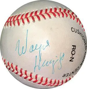 Wayne Huizenga signed RONL Rawlings Official National League Baseball light sig- JSA #EE41809 (Dolphins/Marlins/Panthers Owner)