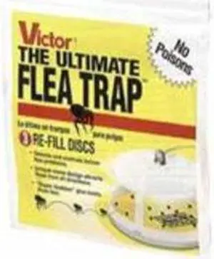 Woodstream Lawn & Garden Victor Flea Trap Refill, 3 Pack - M231
