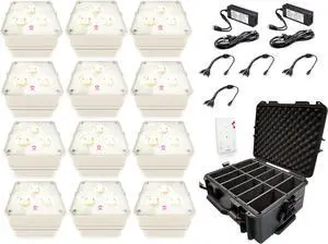 Ape Labs Maxi 2.0 ProX Pack | 12pc - IP65 Creme