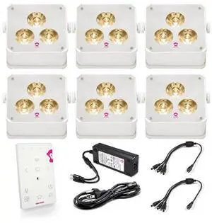 Ape Labs Maxi 2+ Creme Set of 6 Ape Labs Maxi 2+ Creme Set of 6