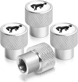 Ford Bronco in White on Silver Chrome Aluminum Tire Valve Stem Caps