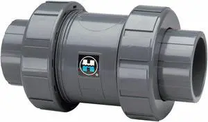 HAYWARD FLOW CONTROL TC20200ST Check Valve, True Union, Ball, 2", CPVC/FPM, S/T