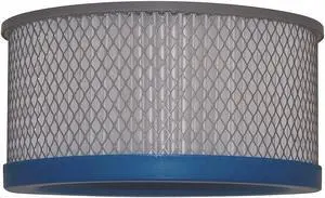 BISSELL COMMERCIAL ULPACART-09 Filter,ULPA Cartridge Filter,4-1/2in.L
