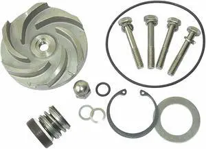 DAYTON 21TG91 Pump Repair Kit,For 2ZWZ1A