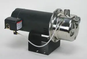 DAYTON 4HEY8 Shallow Well Jet Pump, SS, 1/3 HP