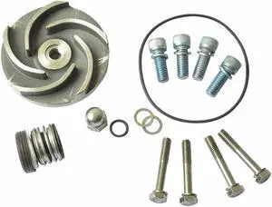 DAYTON 21TG62 Pump Repair Kit,For 2ZWT8