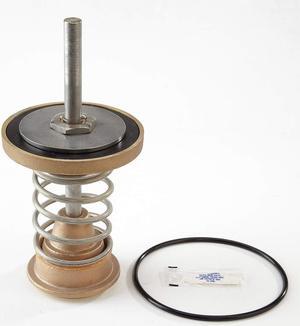WATTS 909 4 1st Check Kit Repair Kit,Watts Series 909, 4 In