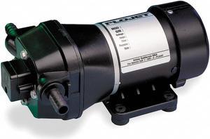 Pump, Demand, 115 Vac