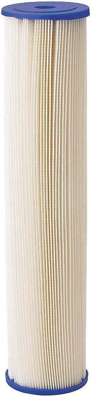 PENTAIR/PENTEK 255495-75 Pleated Filter Cartridge, 20 gpm, 20 Micron, 4-1/2"