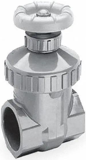 Gate Valve, 1 In, PVC, FNPT, Viton