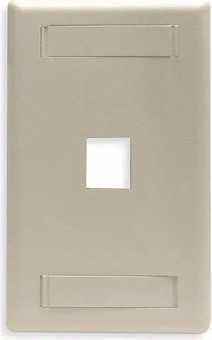 PLATE, WALL, FLUSH,1-G,1PORT,EI