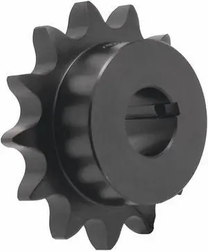 TRITAN 40BS15H X 7/8 Sprocket, Finished Bore with Keyway & SS, 40 Chain Size,