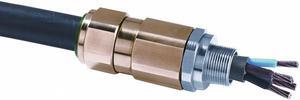 APPLETON ELECTRIC 50ST31505 Cable Connector,1-1/2 in,Straight,Silver