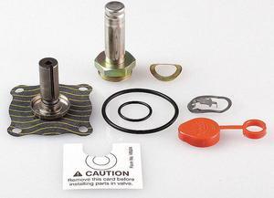 Valve Rebuild Kit ASCO 302432