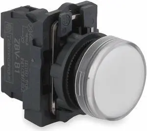 Pilot Light, LED, White, 22mm, 110-120VAC