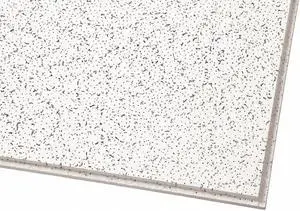 Armstrong Ceiling Tile,24" W,24" L,5/8" Thick,PK12  816A
