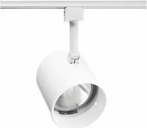 Track Fixture, Round Back Cylinder, 120V