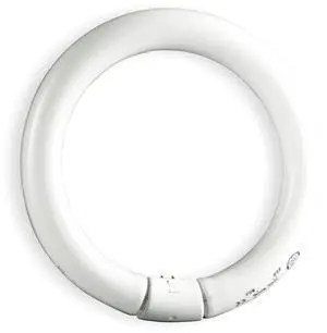 Ge Lighting Circular Fluorescent Lamp   FC8T9/CW