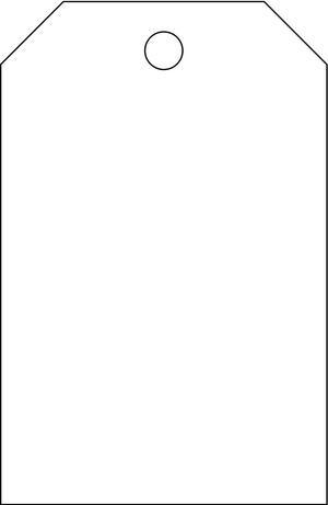 BRADY 102009 Blank Tag,5 x 3-1/4 In,Wht,PK25