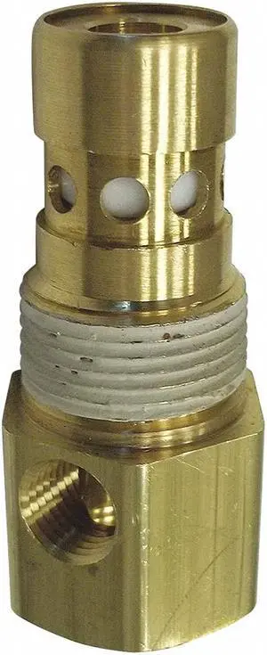 INGERSOLL-RAND 85582229 Check Valve