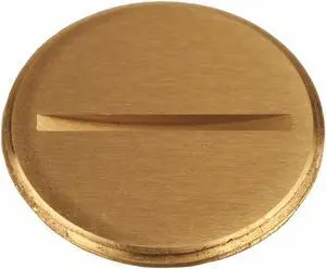RACO 6226 Flush Replacement Plug,1-1/2" L,Brass