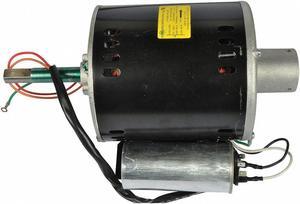 Dayton Motor  3970011100