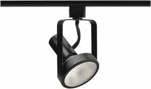 Track Fixture, Open Back Spot, 75W, 120V