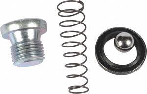 Dayton Check Valve Kit   401-44