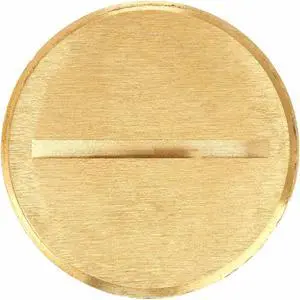 HUBBELL WIRING DEVICE-KELLEMS S5007 Brass Insert