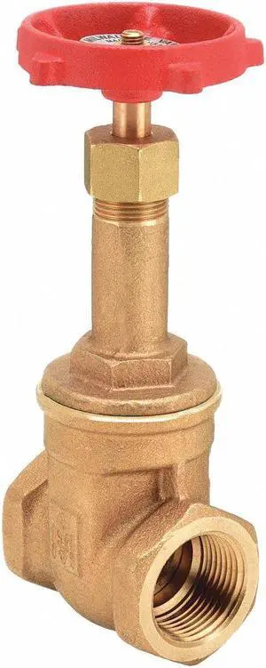 MILWAUKEE VALVE 148 1 Gate Valve,Class 125,1 In.