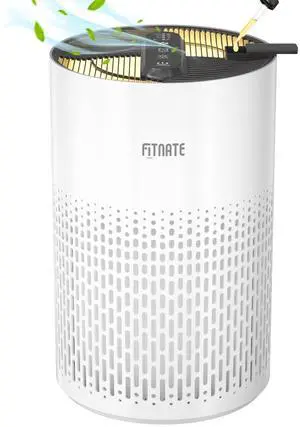 FITNATE Air Purifier with HEPA Filter for Home White