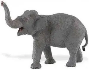 Wild Safari Wildlife: Asian Elephant