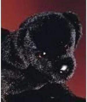 Chester Black Lab 16" by Douglas Cuddle Toys Chester Black Lab 16" by Douglas Cuddle Toys