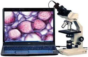 40X-1000X Vet High Power Binocular Microscope + 3MP Camera