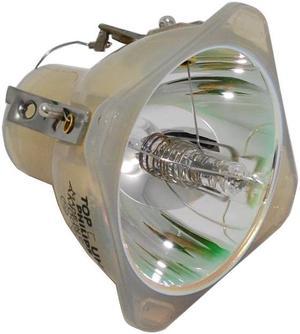 Casio XL-300 LCD Projector Bulb - Philps OEM Projection Bare Bulb