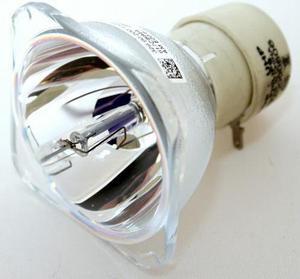 Samsung SP-D300 DLP Projector Bulb - Philps OEM Projection Bare Bulb