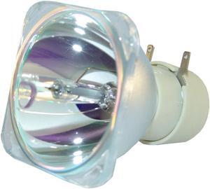 BenQ 5J.J8J05.001 - Genuine OEM Philips projector bare bulb replacement