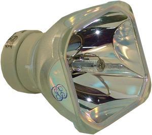 Sony LMP-E210 - Genuine OEM Philips projector bare bulb replacement