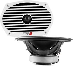 Cerwin-Vega ST69CX 6" x 9" 250W Max / 125W RMS 2-Way Marine Coaxial Speakers (Pair), Black Cerwin-Vega ST69CX 6" x 9" 250W Max / 125W RMS 2-Way Marine Coaxial Speakers (Pair), Black
