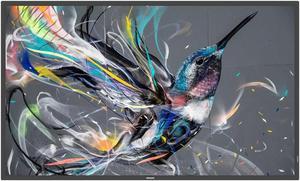 Philips Q-Line 65BDL3550Q/00 65" 9ms 3840 x 2160 (4K) 1.07 Billion Colors Professional Display Built-in Speaker