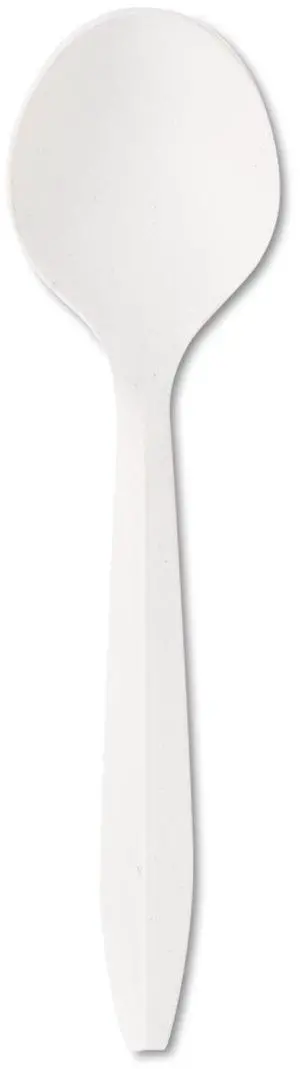 Boardwalk MWPPSS Mediumweight Polypropylene Cutlery, Soup Spoon, White, 1000/carton