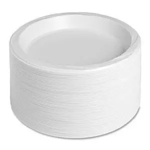 Plastic Plates Reusable/Disposable 10-1/4" 125/PK White