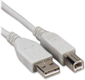 Compucessory A-B USB Cable 1 EA